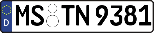 MS-TN9381