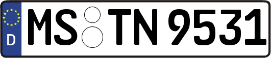 MS-TN9531