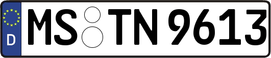 MS-TN9613