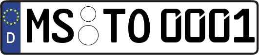 MS-TO0001
