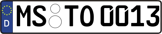 MS-TO0013