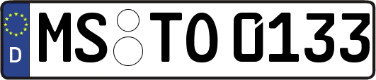 MS-TO0133