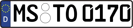 MS-TO0170