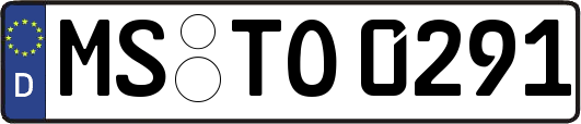 MS-TO0291