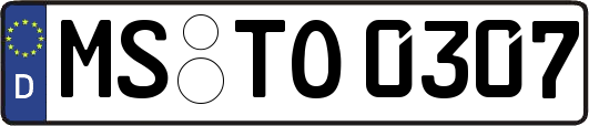 MS-TO0307