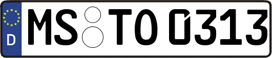 MS-TO0313