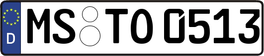 MS-TO0513
