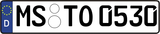 MS-TO0530