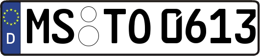 MS-TO0613