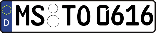 MS-TO0616