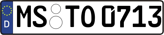 MS-TO0713
