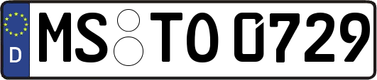 MS-TO0729