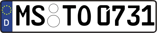 MS-TO0731