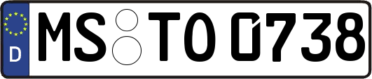 MS-TO0738