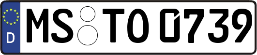 MS-TO0739