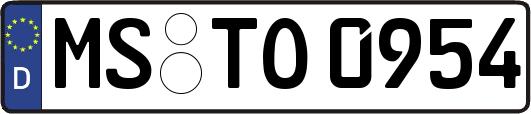 MS-TO0954