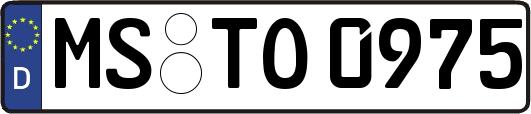 MS-TO0975