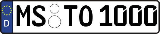 MS-TO1000