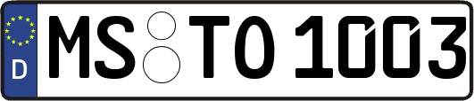 MS-TO1003