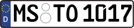 MS-TO1017