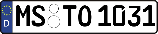 MS-TO1031