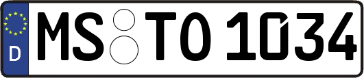 MS-TO1034