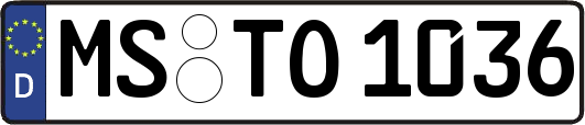 MS-TO1036