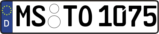 MS-TO1075