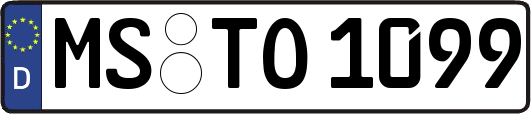 MS-TO1099