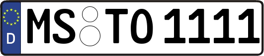 MS-TO1111