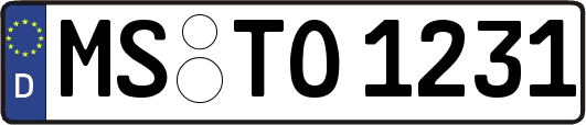 MS-TO1231