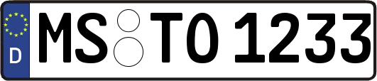 MS-TO1233