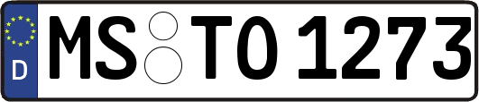 MS-TO1273