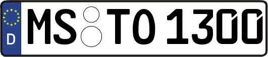 MS-TO1300