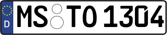 MS-TO1304
