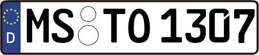 MS-TO1307