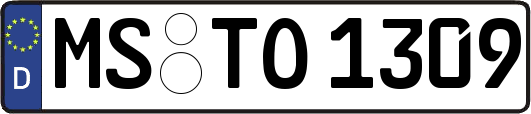 MS-TO1309