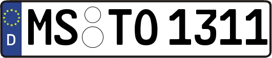 MS-TO1311