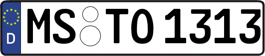 MS-TO1313