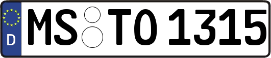 MS-TO1315