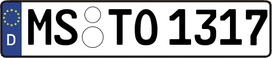 MS-TO1317