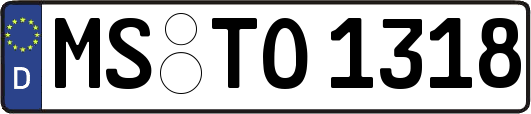 MS-TO1318