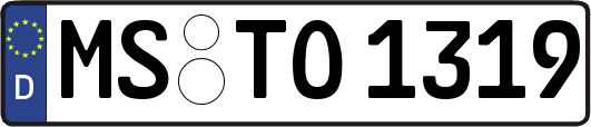MS-TO1319