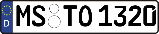 MS-TO1320