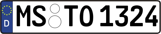 MS-TO1324