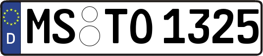 MS-TO1325