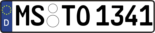 MS-TO1341