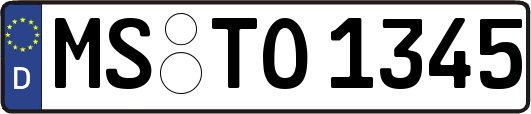 MS-TO1345
