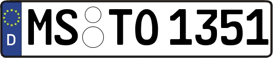 MS-TO1351