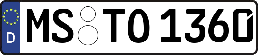 MS-TO1360